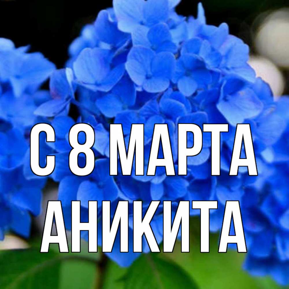 Открытка на каждый день с именем, Аникита С 8 марта синие цветы Прикольная открытка с пожеланием онлайн скачать бесплатно 