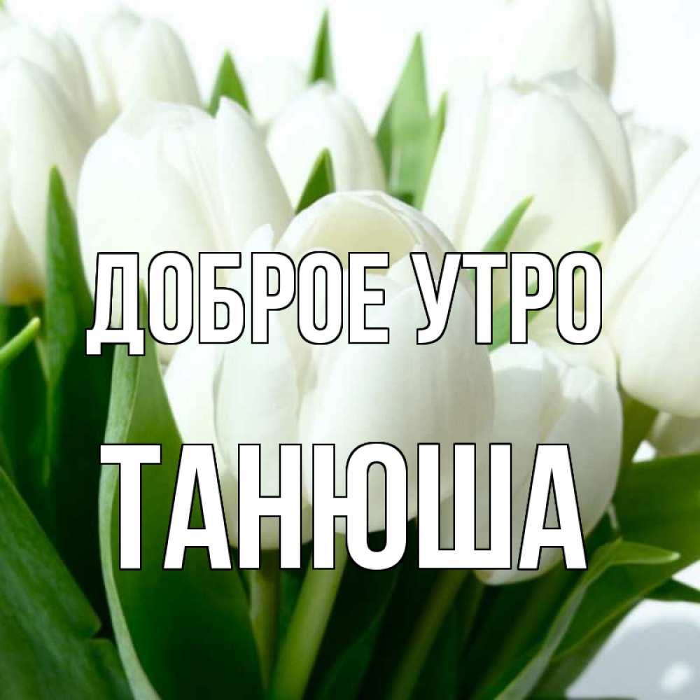 Доброе утро олечка открытки. Доброе утро Оленька. Открытки с добрым утром Оленька. С добрым утром Олечка. Открытка доброе утро Оленька.
