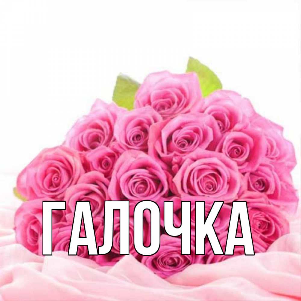Открытка на каждый день с именем, Галочка Главная розовые розы с подписью Прикольная открытка с пожеланием онлайн скачать бесплатно 