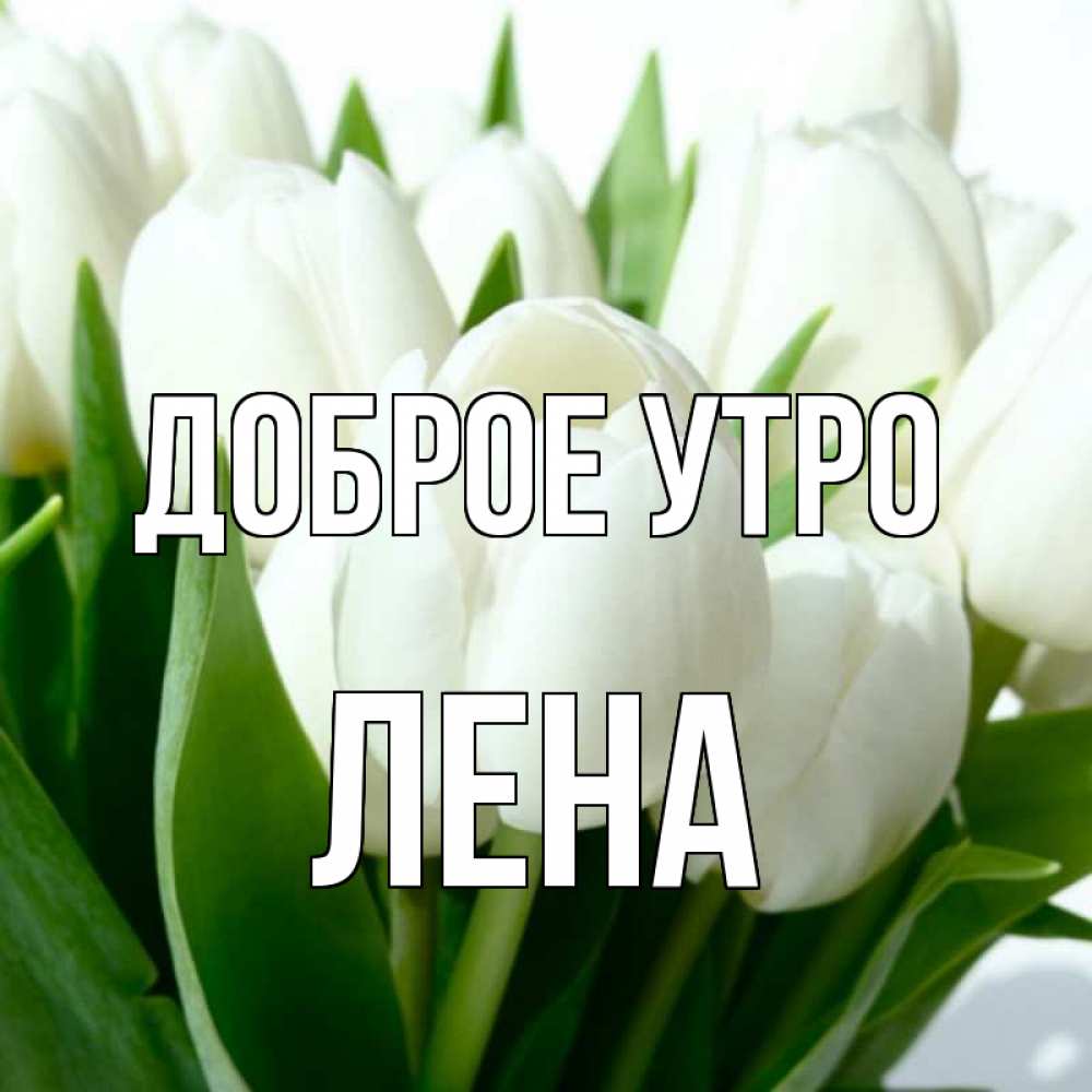 фото с добрым утром лена такой подушке