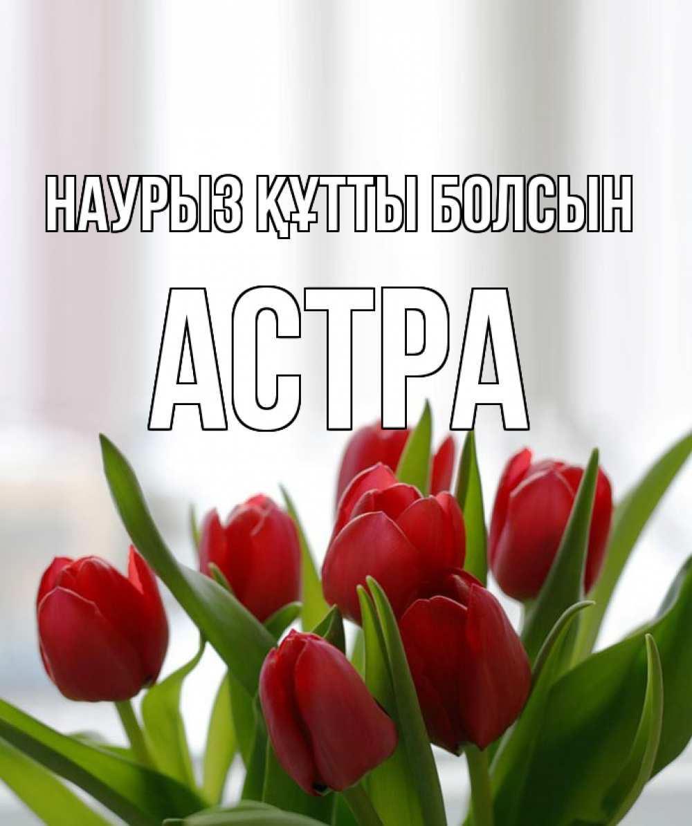 Открытка на каждый день с именем, Астра Наурыз құтты болсын полевые цветы Прикольная открытка с пожеланием онлайн скачать бесплатно 