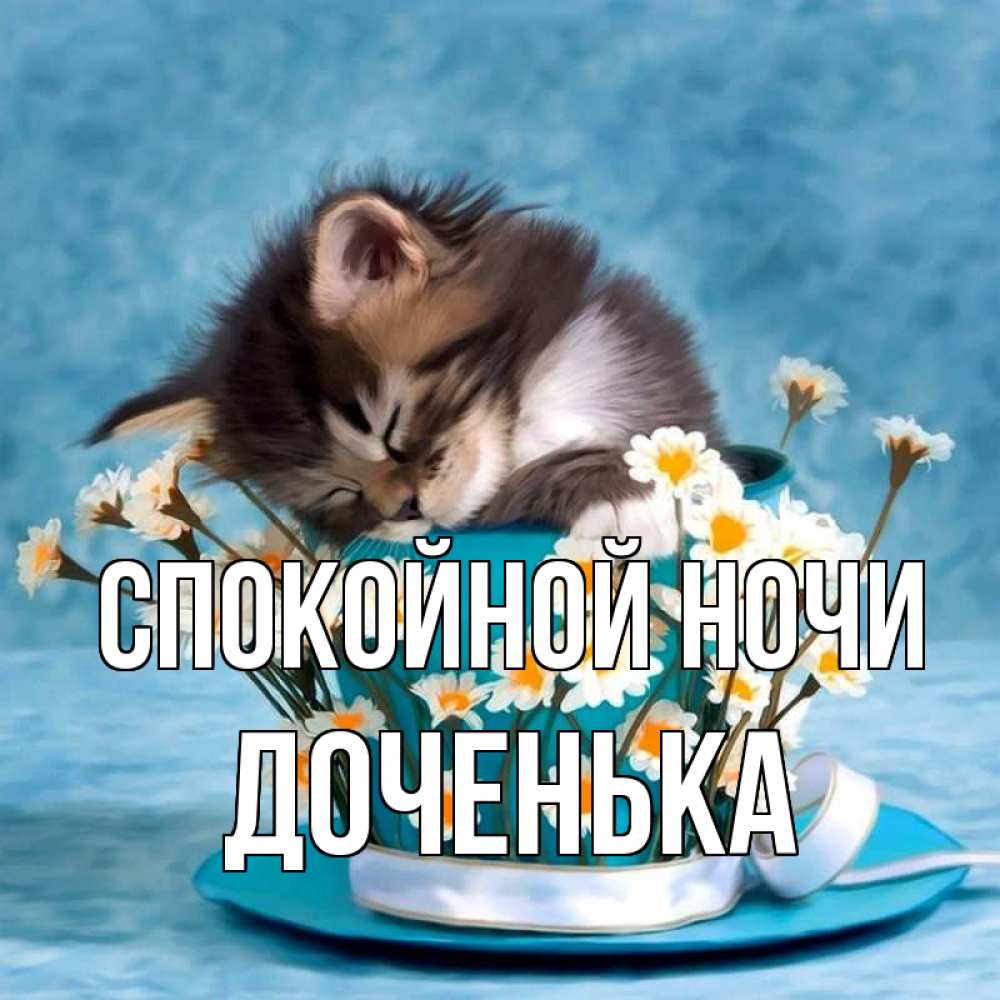 Открытка на каждый день с именем, ДОЧЕНЬКА Спокойной ночи котенок спит в кружке с блюдцем Прикольная открытка с пожеланием онлайн скачать бесплатно 
