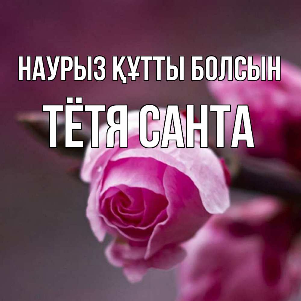 Открытка на каждый день с именем, Тётя-Санта Наурыз құтты болсын весна Прикольная открытка с пожеланием онлайн скачать бесплатно 