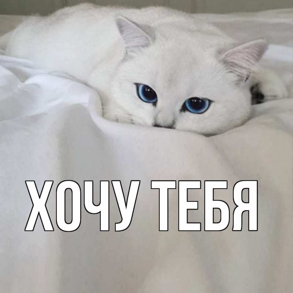 Открытка на каждый день с именем, Хочу-тебя Главная я очень по тебе скучаю и тоскую Прикольная открытка с пожеланием онлайн скачать бесплатно 