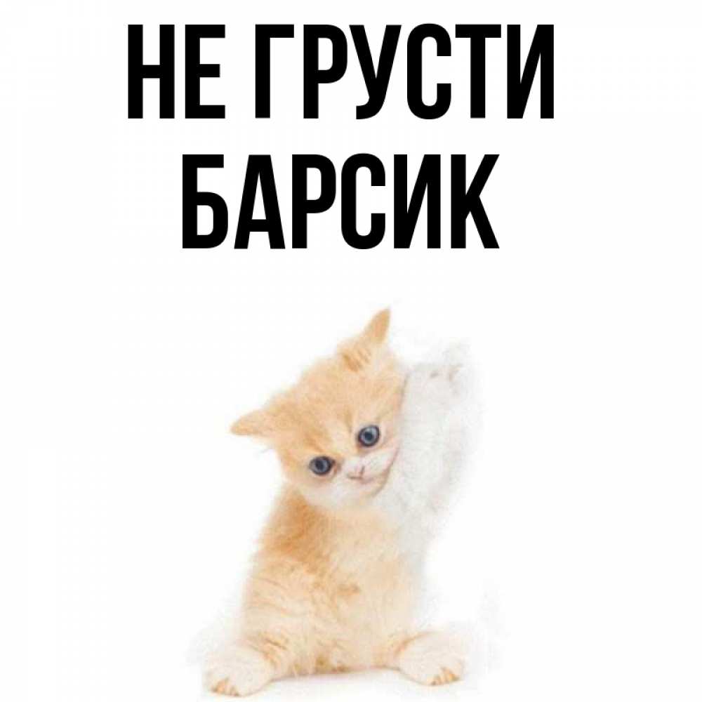 Кличка барсик