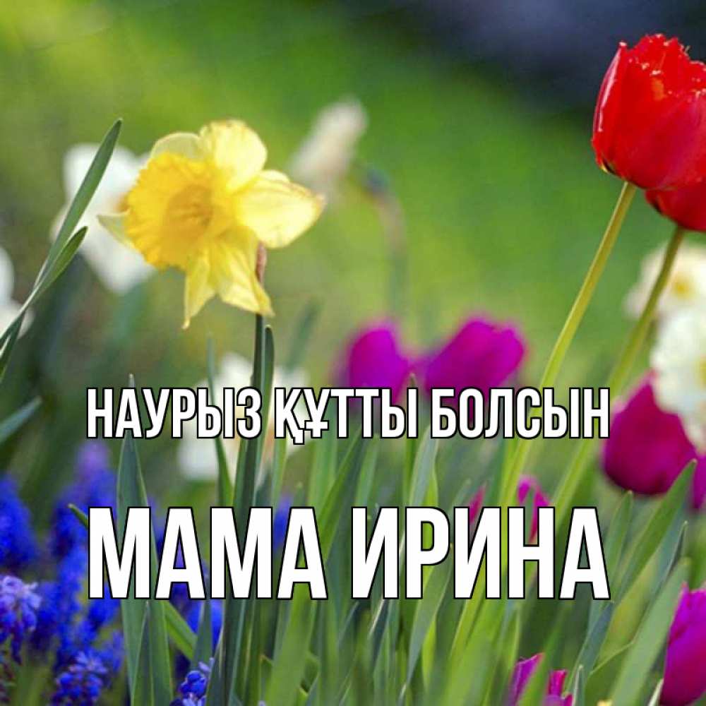 Открытка на каждый день с именем, Мама-Ирина Наурыз құтты болсын наурыз  3 открытки Прикольная открытка с пожеланием онлайн скачать бесплатно 
