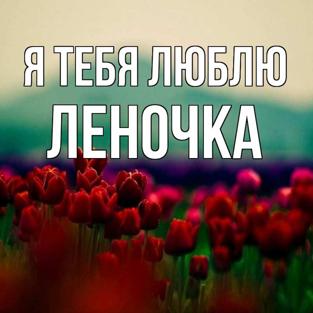 открытка любимой лене сообщается