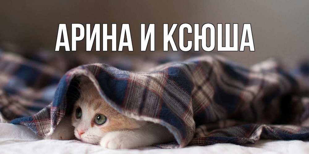 Картинка  с именем , Арина и Ксюша