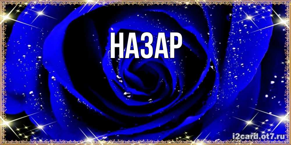 Открытка на каждый день с именем, Назар Главная голубые цветы в росе Прикольная открытка с пожеланием онлайн скачать бесплатно 