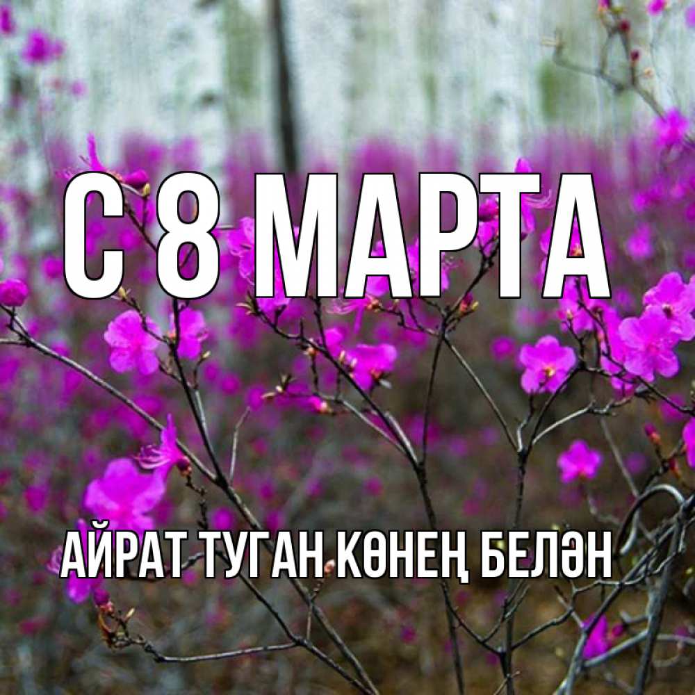 Открытка на каждый день с именем, Айрат-туган-көнең-белән С 8 марта дикие цветы Прикольная открытка с пожеланием онлайн скачать бесплатно 