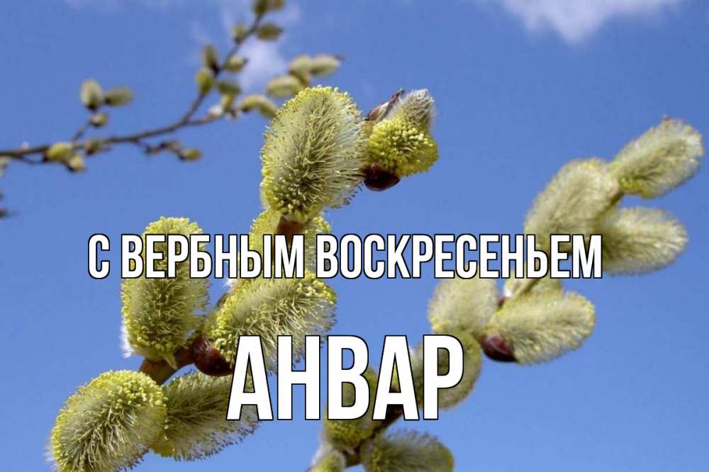 Открытка на каждый день с именем, Анвар С вербным воскресеньем верба Прикольная открытка с пожеланием онлайн скачать бесплатно 