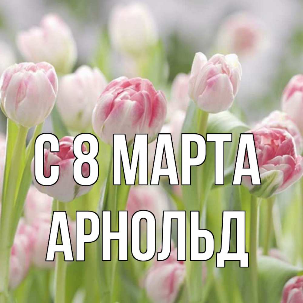 Открытка на каждый день с именем, Арнольд С 8 МАРТА цветы Прикольная открытка с пожеланием онлайн скачать бесплатно 