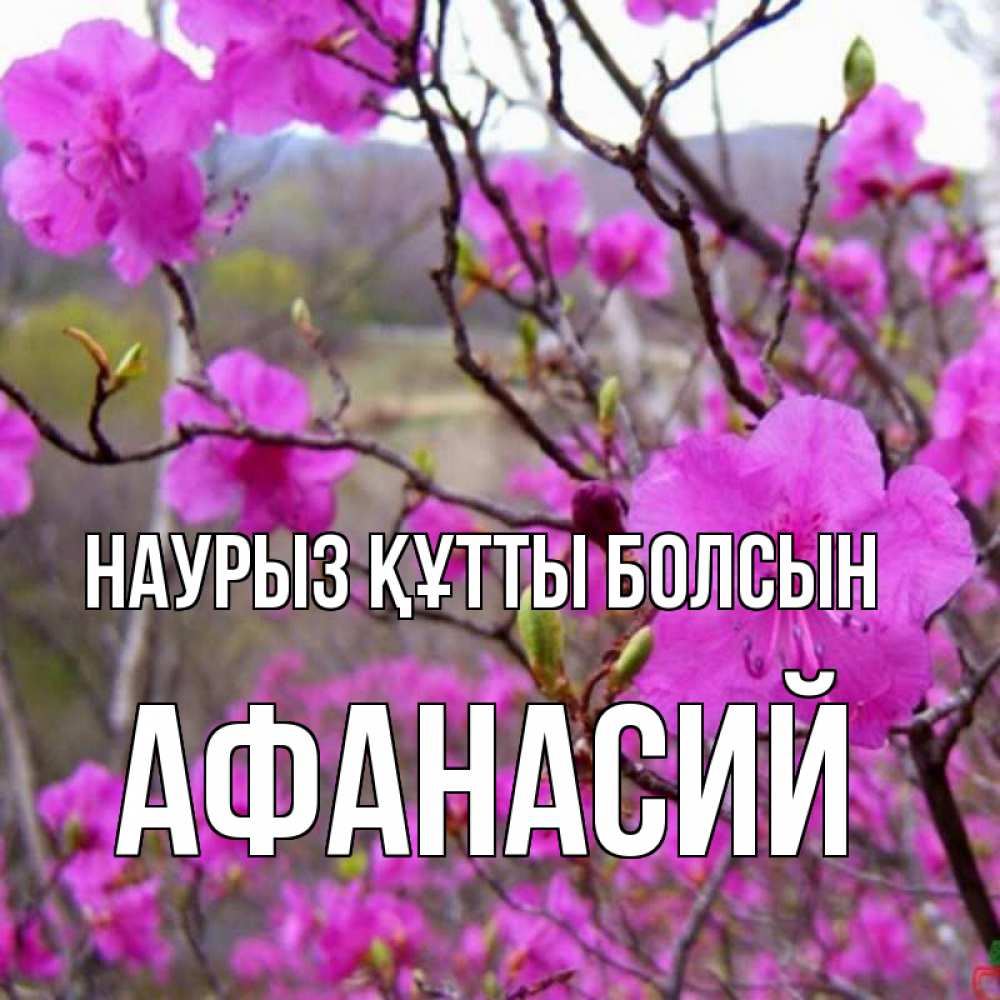 Открытка на каждый день с именем, Афанасий Наурыз құтты болсын наурыз мейрамы кутты болсын Прикольная открытка с пожеланием онлайн скачать бесплатно 