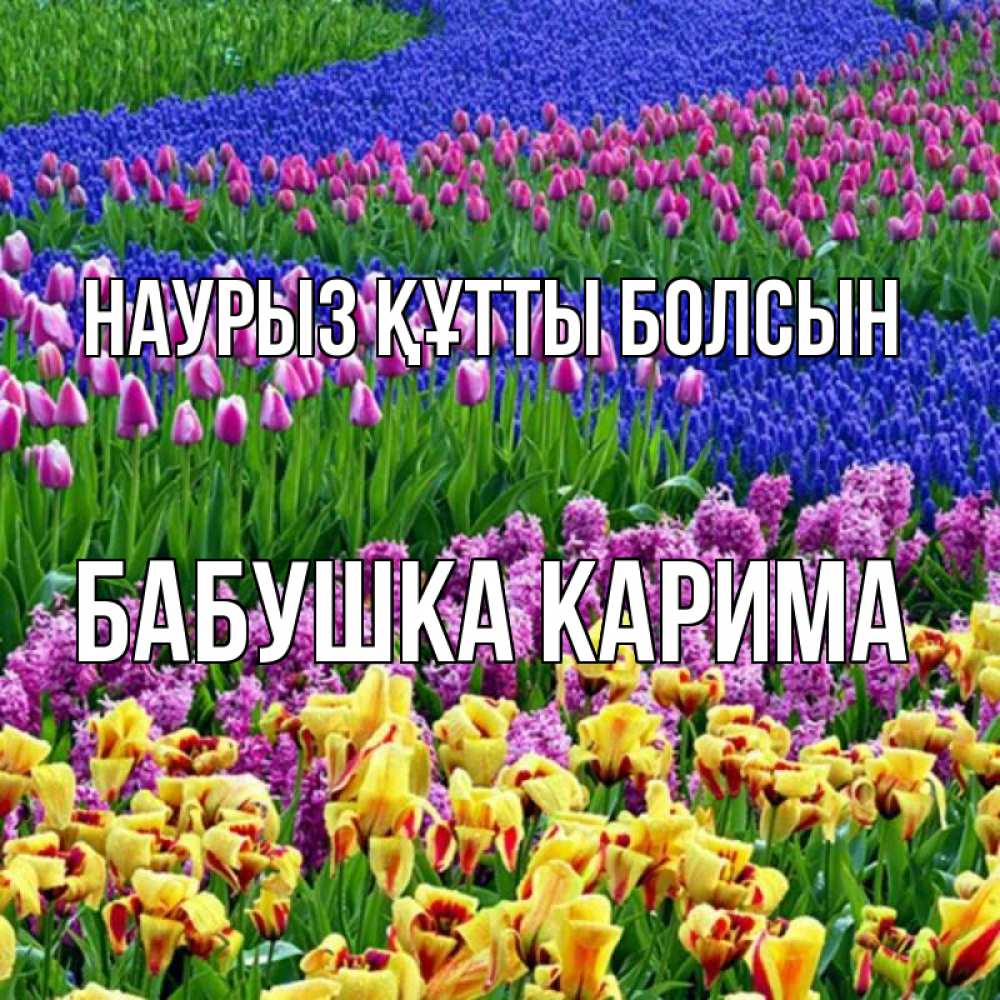 Открытка на каждый день с именем, Бабушка-Карима Наурыз құтты болсын цветы Прикольная открытка с пожеланием онлайн скачать бесплатно 
