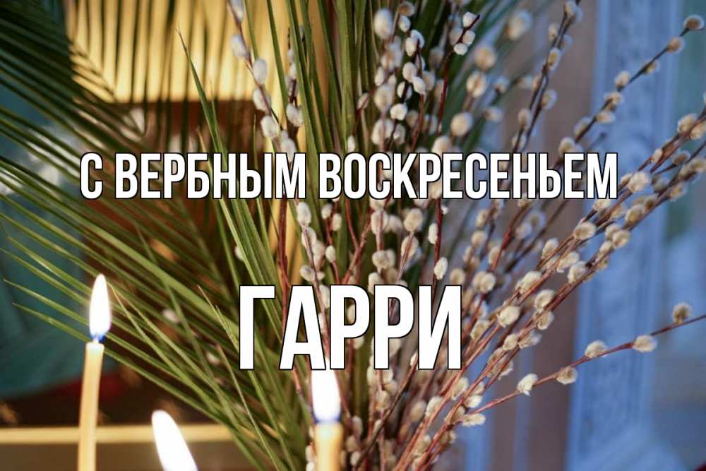 Открытка на каждый день с именем, Гарри С вербным воскресеньем верба Прикольная открытка с пожеланием онлайн скачать бесплатно 