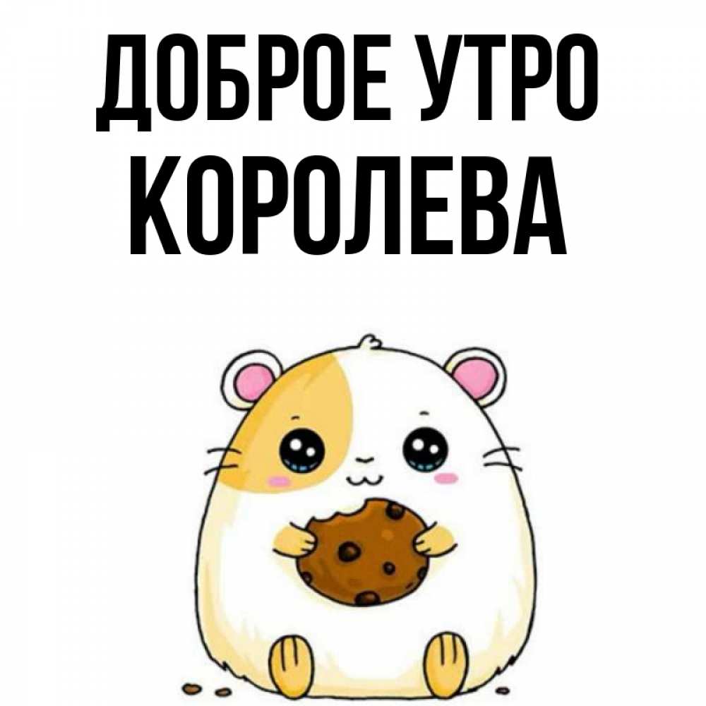 Открытка на каждый день с именем, Королева Доброе утро есть печеньку. Утречко Прикольная открытка с пожеланием онлайн скачать бесплатно 