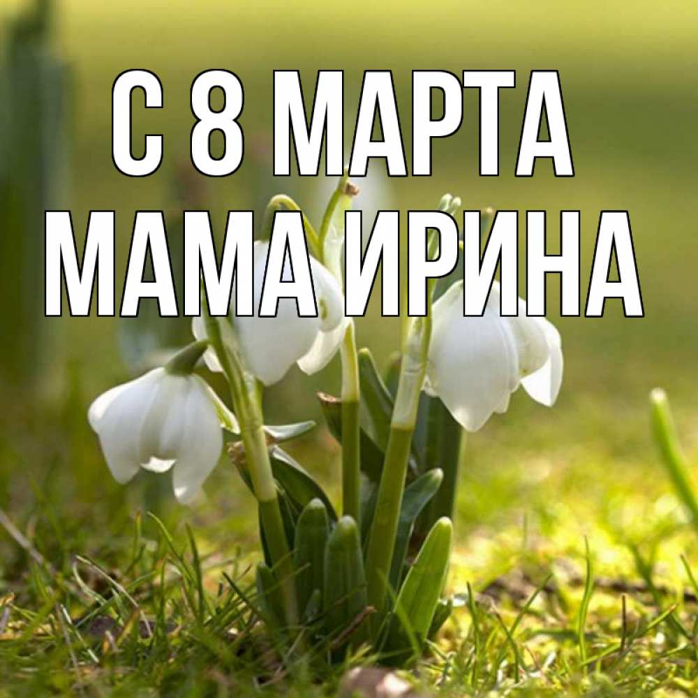 Открытка на каждый день с именем, Мама-Ирина С 8 МАРТА ранние цветы 2 Прикольная открытка с пожеланием онлайн скачать бесплатно 