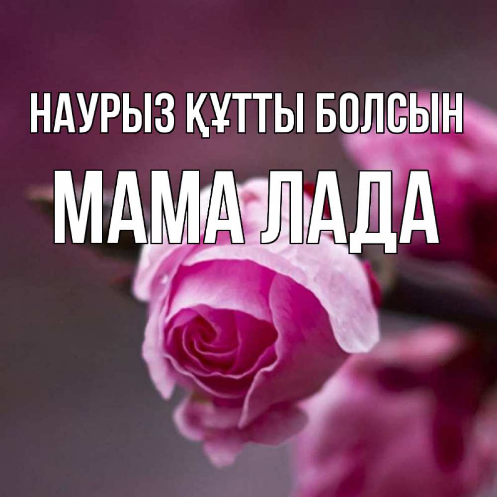 Открытка на каждый день с именем, Мама-Лада Наурыз құтты болсын весна Прикольная открытка с пожеланием онлайн скачать бесплатно 