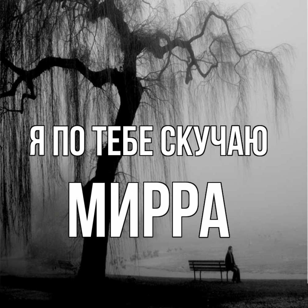 Открытка на каждый день с именем, Мирра Я по тебе скучаю лавочка под деревом я жду тебя Прикольная открытка с пожеланием онлайн скачать бесплатно 