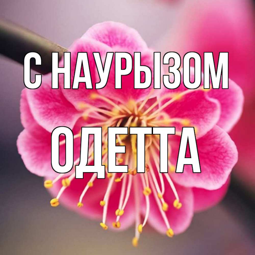 Открытка на каждый день с именем, Одетта С наурызом цветы Прикольная открытка с пожеланием онлайн скачать бесплатно 