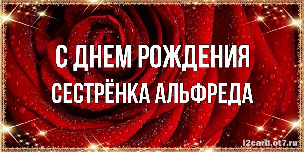 Открытка на каждый день с именем, Сестрёнка-Альфреда С днем рождения роса на розе блестящая в лучах солнца Прикольная открытка с пожеланием онлайн скачать бесплатно 