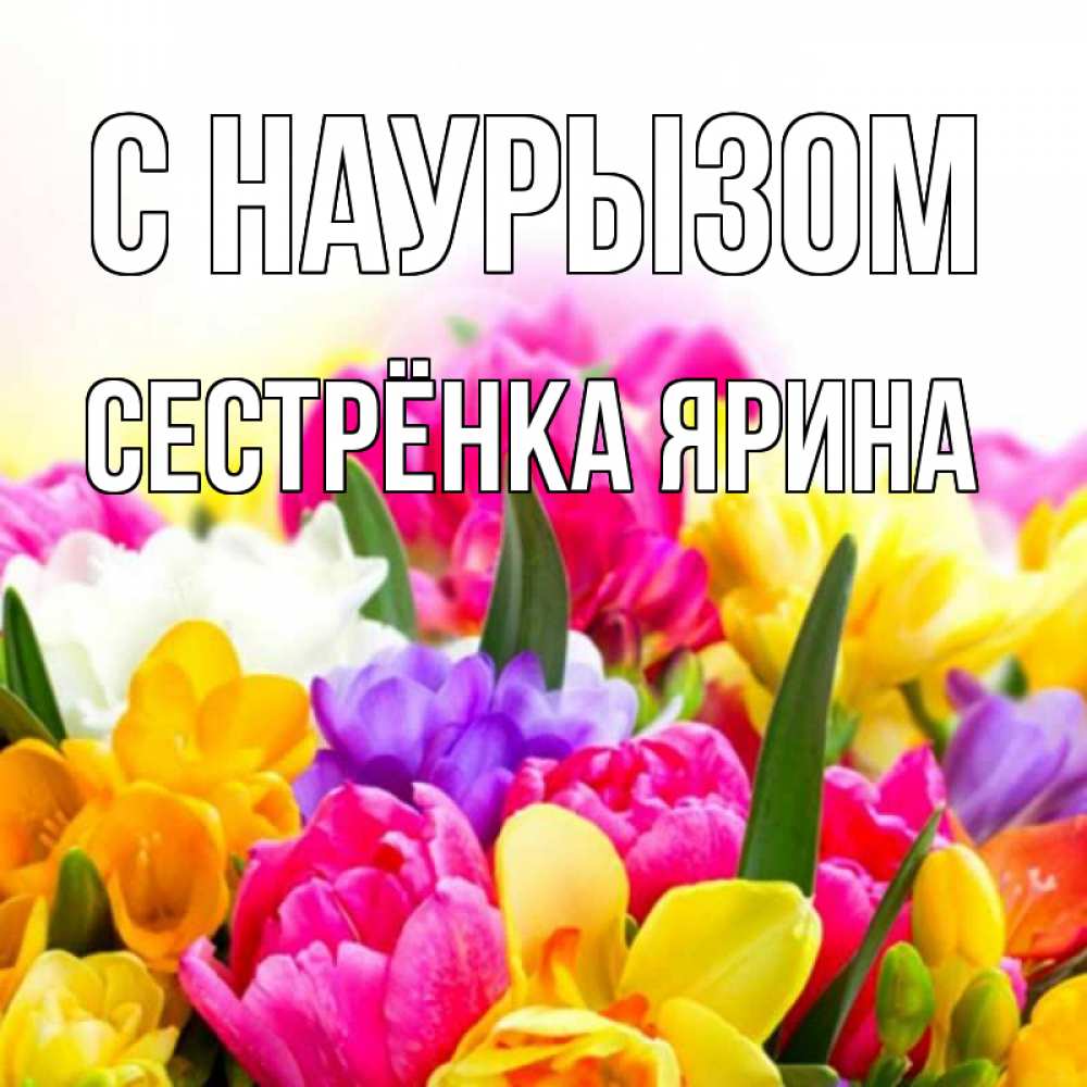 Открытка на каждый день с именем, Сестрёнка-Ярина С наурызом тюльпаны Прикольная открытка с пожеланием онлайн скачать бесплатно 