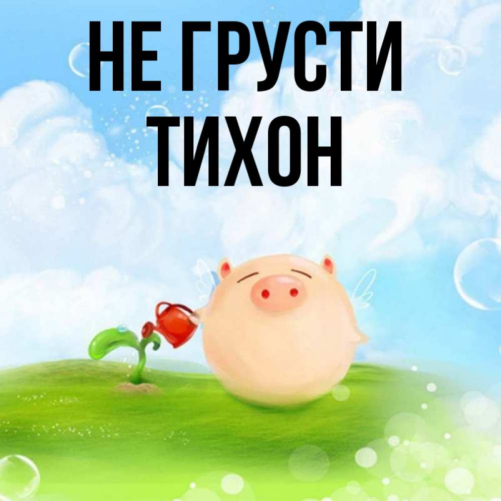 Открытка на каждый день с именем, Тихон Не грусти поливает цветок порося Прикольная открытка с пожеланием онлайн скачать бесплатно 