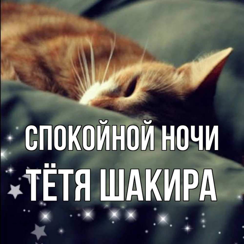Открытка на каждый день с именем, Тётя-Шакира Спокойной ночи кроватка Прикольная открытка с пожеланием онлайн скачать бесплатно 