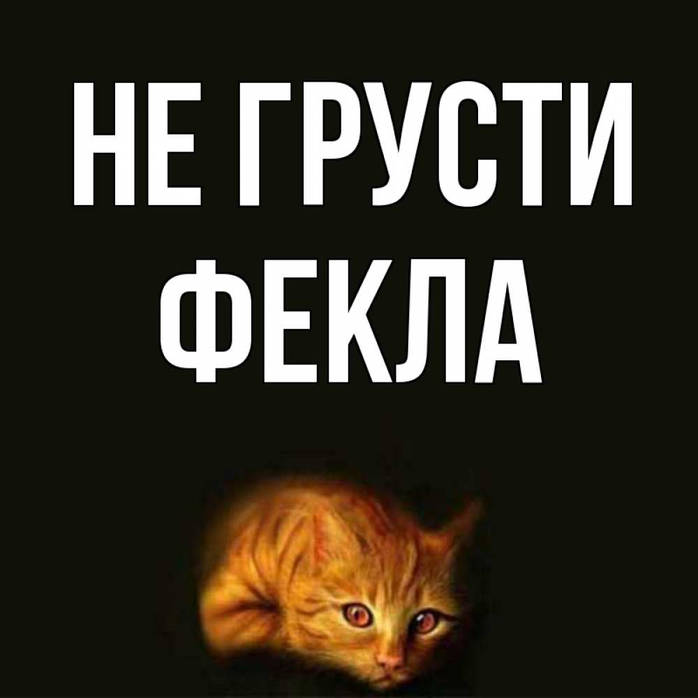 Открытка на каждый день с именем, Фекла Не грусти лежащий кот в темноте Прикольная открытка с пожеланием онлайн скачать бесплатно 