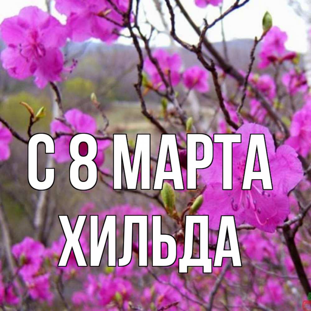 Открытка на каждый день с именем, Хильда С 8 МАРТА международный женский день Прикольная открытка с пожеланием онлайн скачать бесплатно 