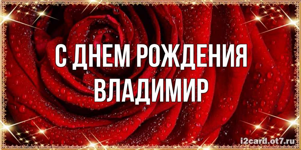 Открытка на каждый день с именем, владимир С днем рождения роса на розе блестящая в лучах солнца Прикольная открытка с пожеланием онлайн скачать бесплатно 