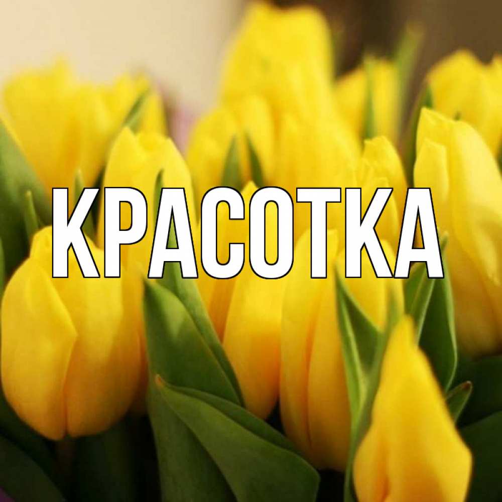 Открытка на каждый день с именем, красотка Главная цветы Прикольная открытка с пожеланием онлайн скачать бесплатно 