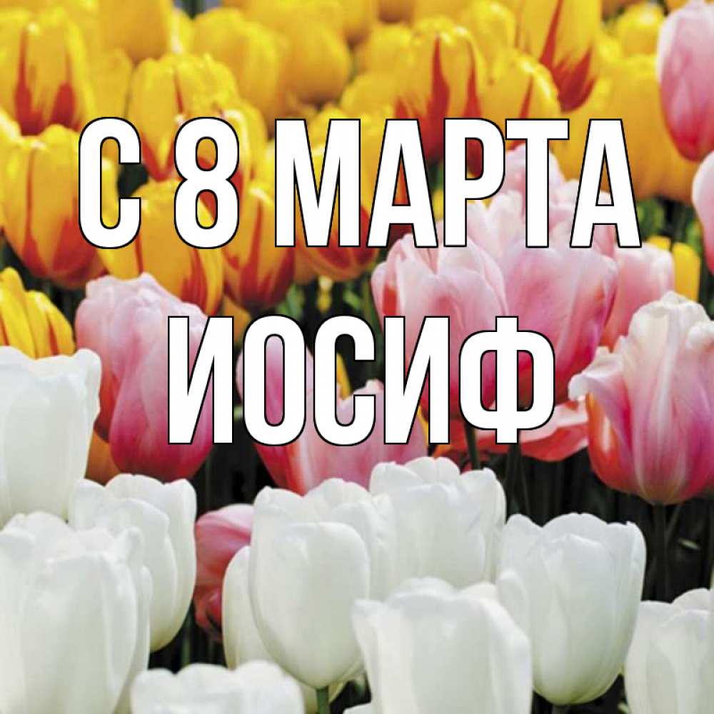 Открытка на каждый день с именем, Иосиф С 8 марта разноцветные цветы Прикольная открытка с пожеланием онлайн скачать бесплатно 