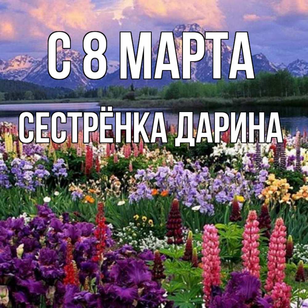 Открытка на каждый день с именем, Сестрёнка-Дарина С 8 МАРТА международный женский день Прикольная открытка с пожеланием онлайн скачать бесплатно 