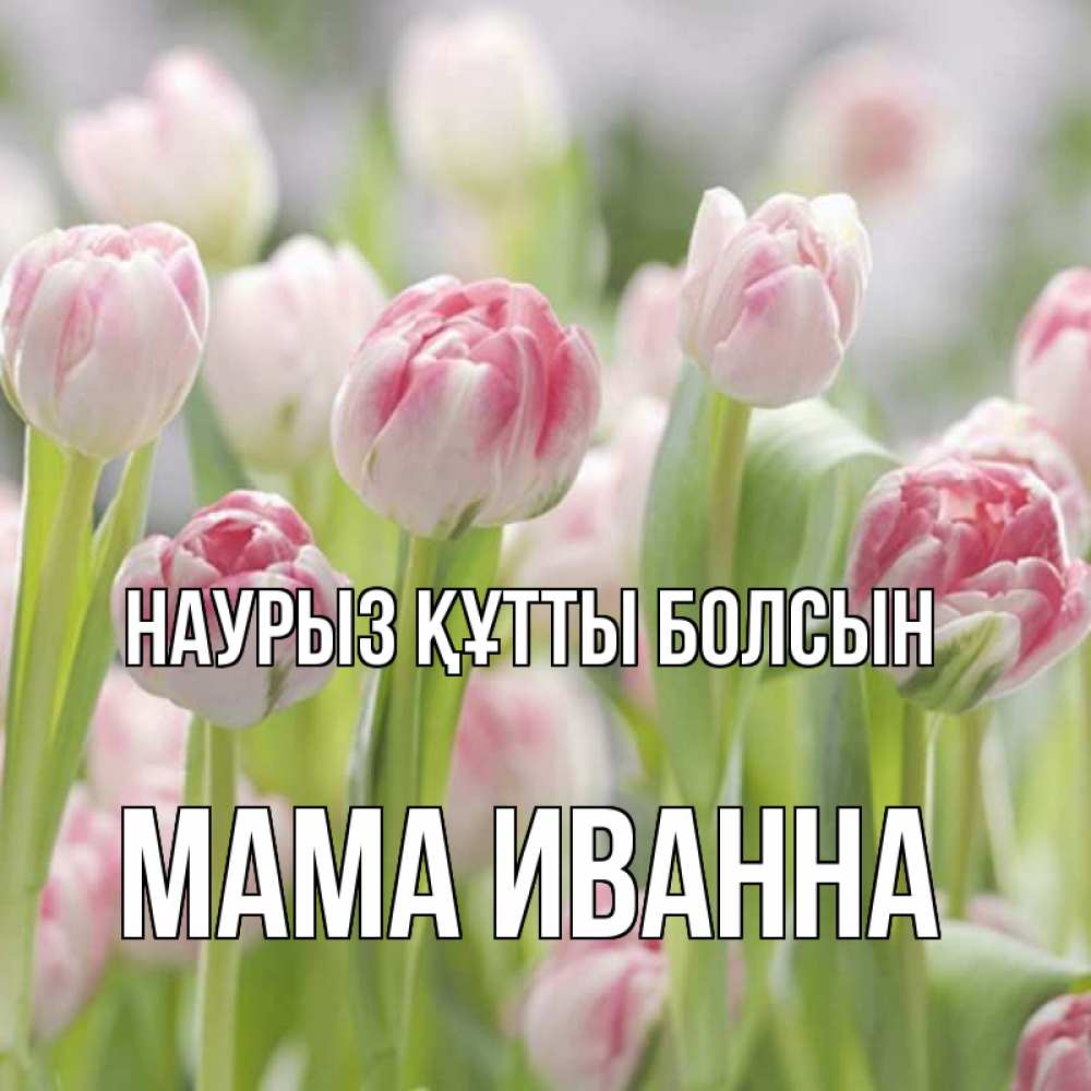 Открытка на каждый день с именем, Мама-Иванна Наурыз құтты болсын цветы Прикольная открытка с пожеланием онлайн скачать бесплатно 