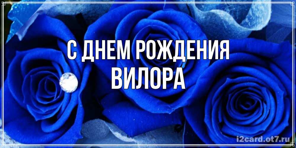 Открытка на каждый день с именем, Вилора С днем рождения синие розы в росе Прикольная открытка с пожеланием онлайн скачать бесплатно 