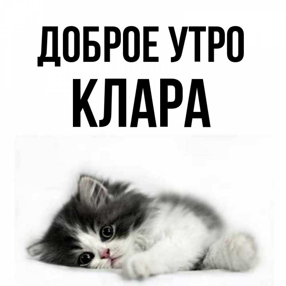 Открытка на каждый день с именем, Клара Доброе утро кот лапки Прикольная открытка с пожеланием онлайн скачать бесплатно 