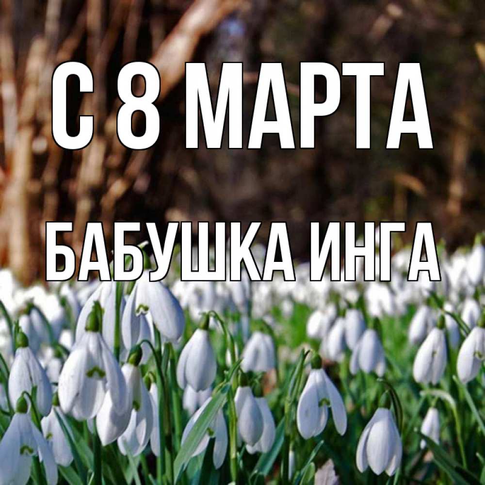 Открытка на каждый день с именем, Бабушка-Инга С 8 МАРТА с подснежниками 1 Прикольная открытка с пожеланием онлайн скачать бесплатно 