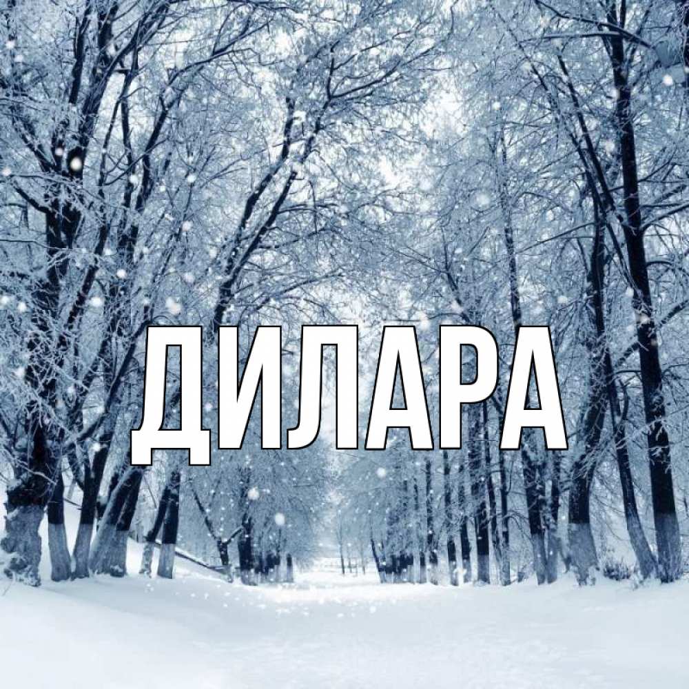 Открытка на каждый день с именем, Дилара Главная снег, лес, парк Прикольная открытка с пожеланием онлайн скачать бесплатно 