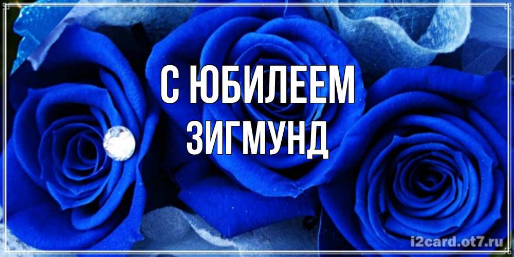 Открытка на каждый день с именем, Зигмунд С юбилеем синие розы в росе Прикольная открытка с пожеланием онлайн скачать бесплатно 