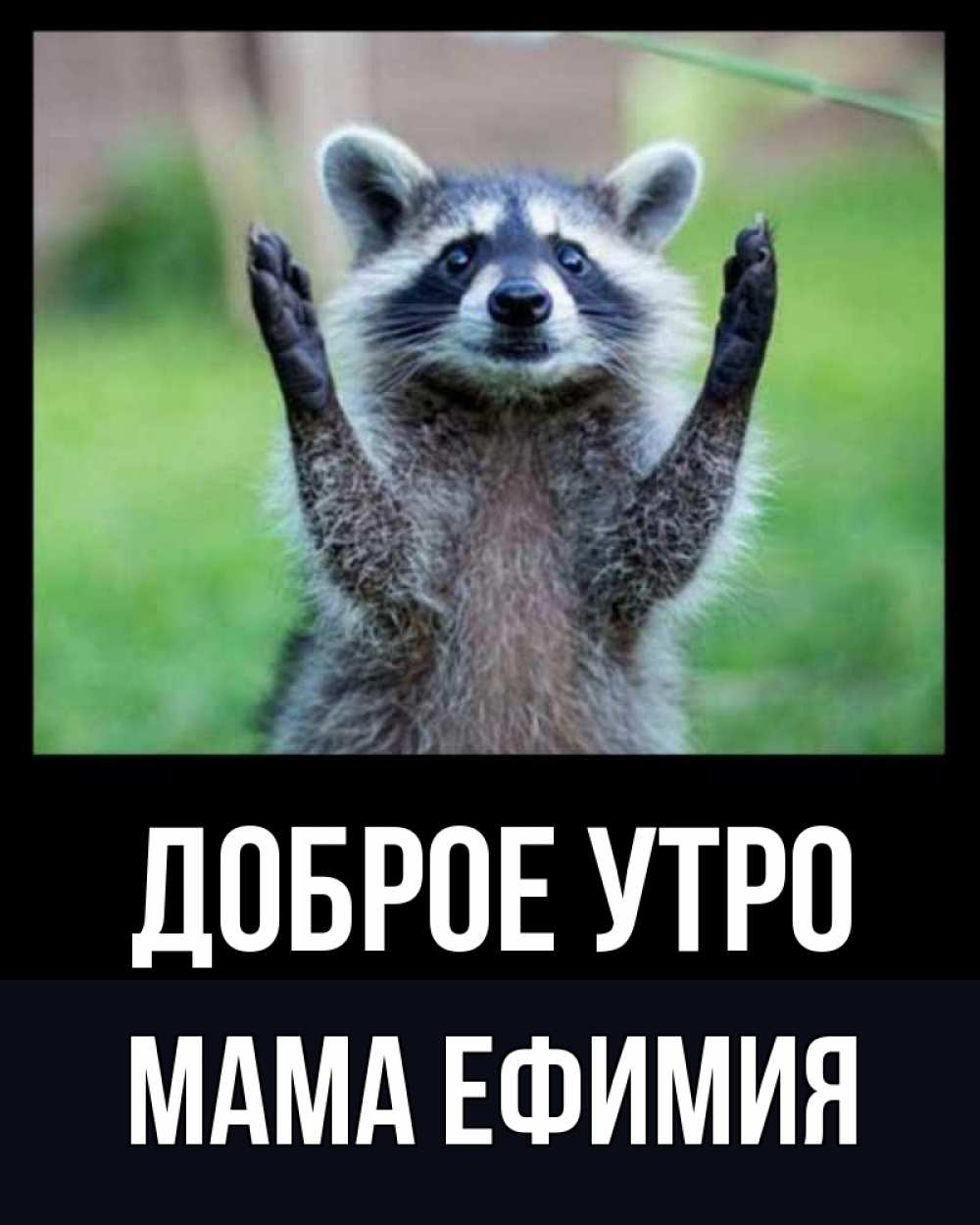 Открытка на каждый день с именем, Мама-Ефимия Доброе утро хорошее настроение утречком Прикольная открытка с пожеланием онлайн скачать бесплатно 