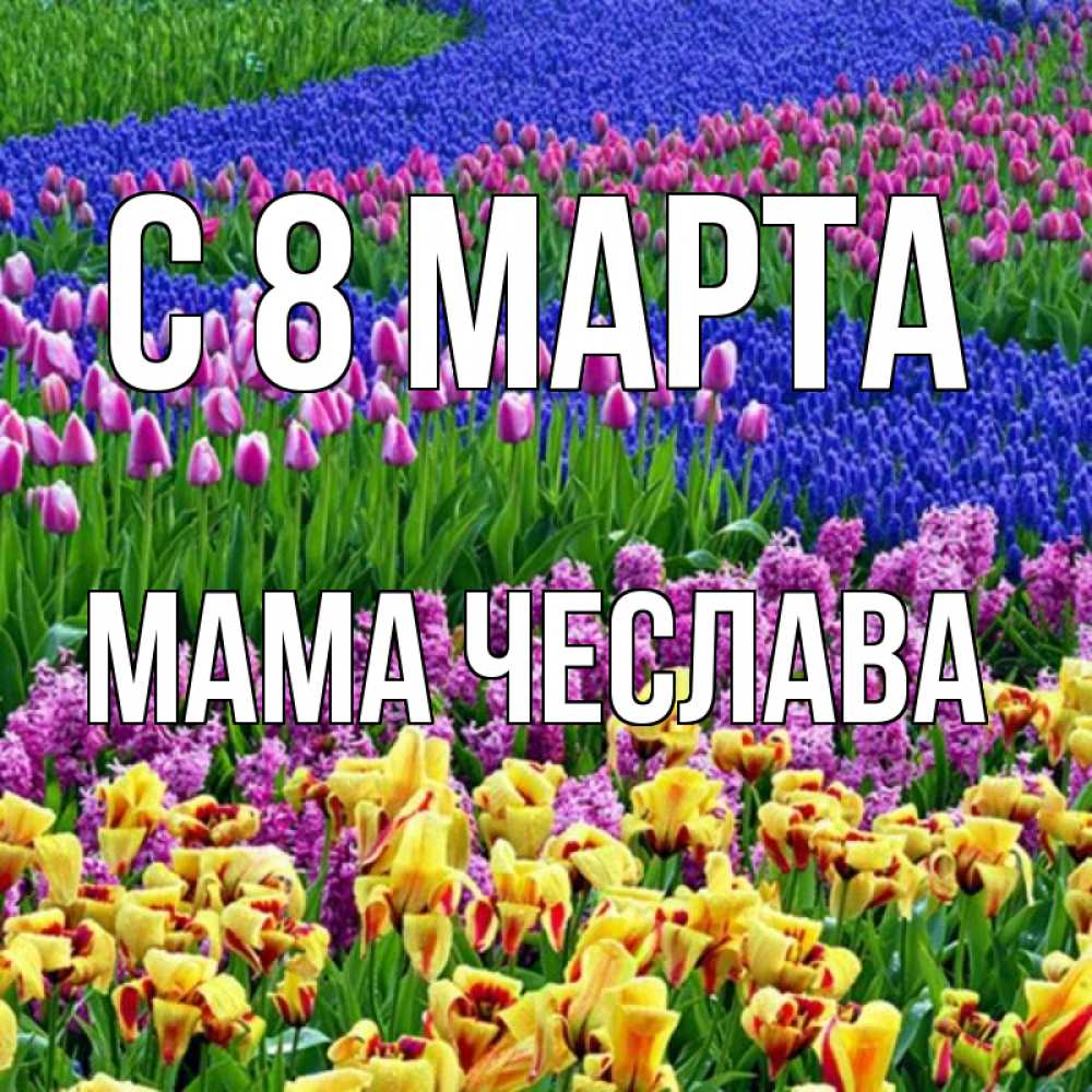 Открытка на каждый день с именем, Мама-Чеслава С 8 МАРТА цветы Прикольная открытка с пожеланием онлайн скачать бесплатно 