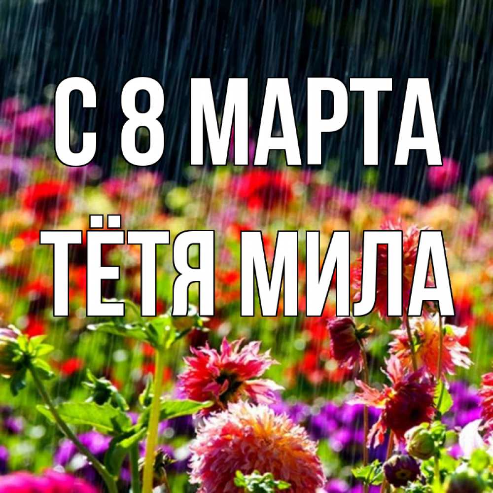 Открытка на каждый день с именем, Тётя-Мила С 8 МАРТА цветы под дождиком к международному женскому дню Прикольная открытка с пожеланием онлайн скачать бесплатно 