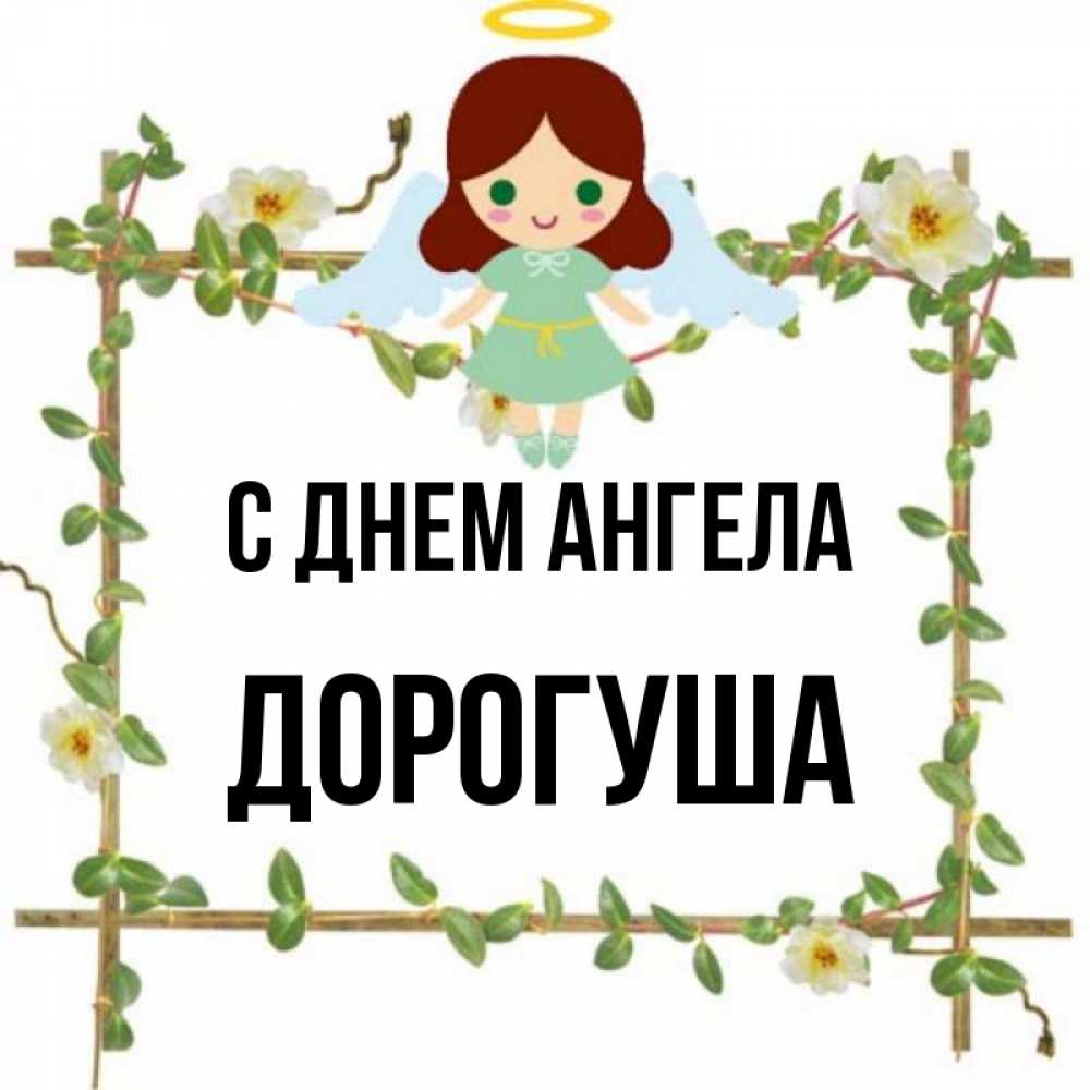 Дорогуша