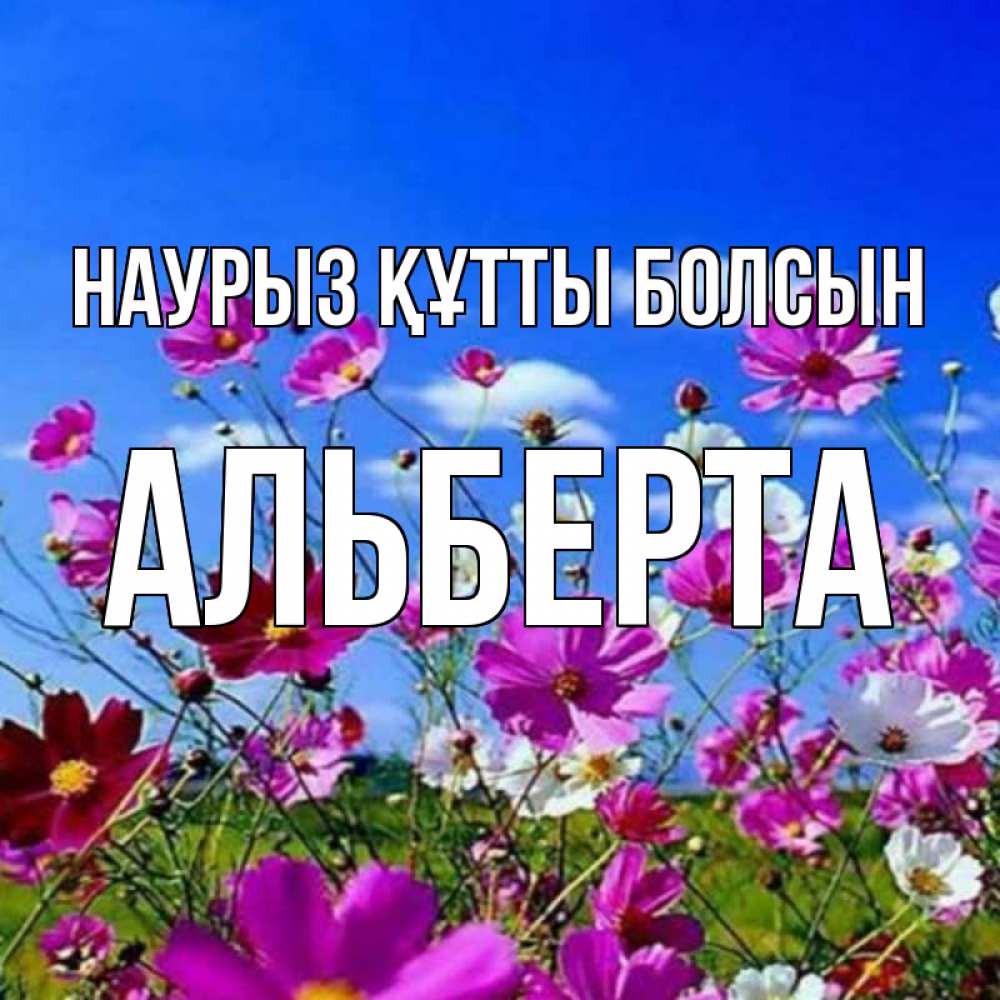 Открытка на каждый день с именем, Альберта Наурыз құтты болсын цветы Прикольная открытка с пожеланием онлайн скачать бесплатно 