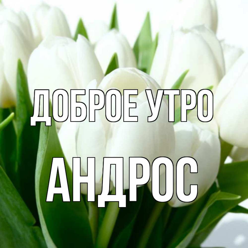 Доброе Утро Андрей Картинки