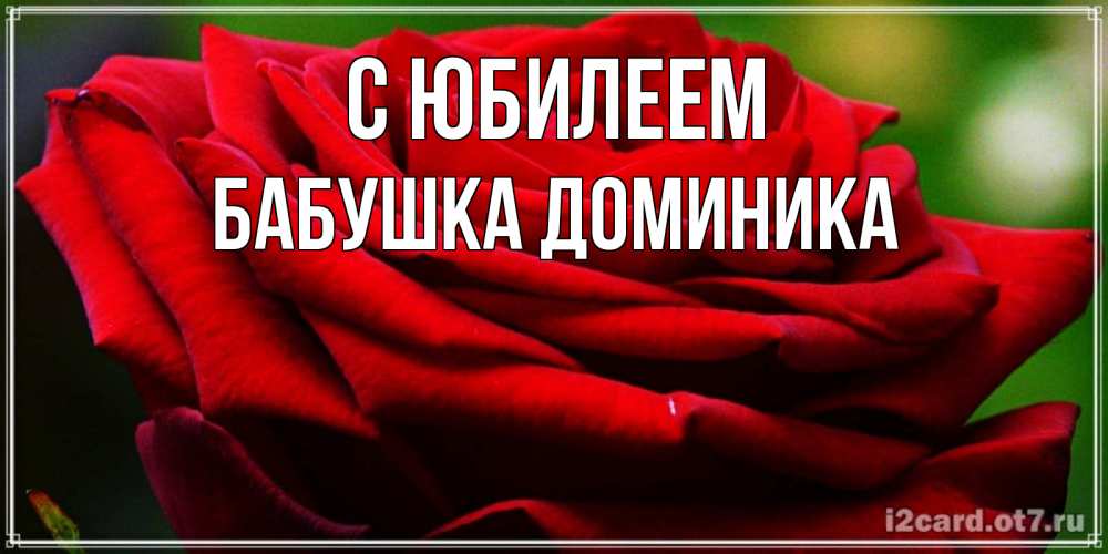 Открытка на каждый день с именем, Бабушка-Доминика С юбилеем розочка очень красивая Прикольная открытка с пожеланием онлайн скачать бесплатно 