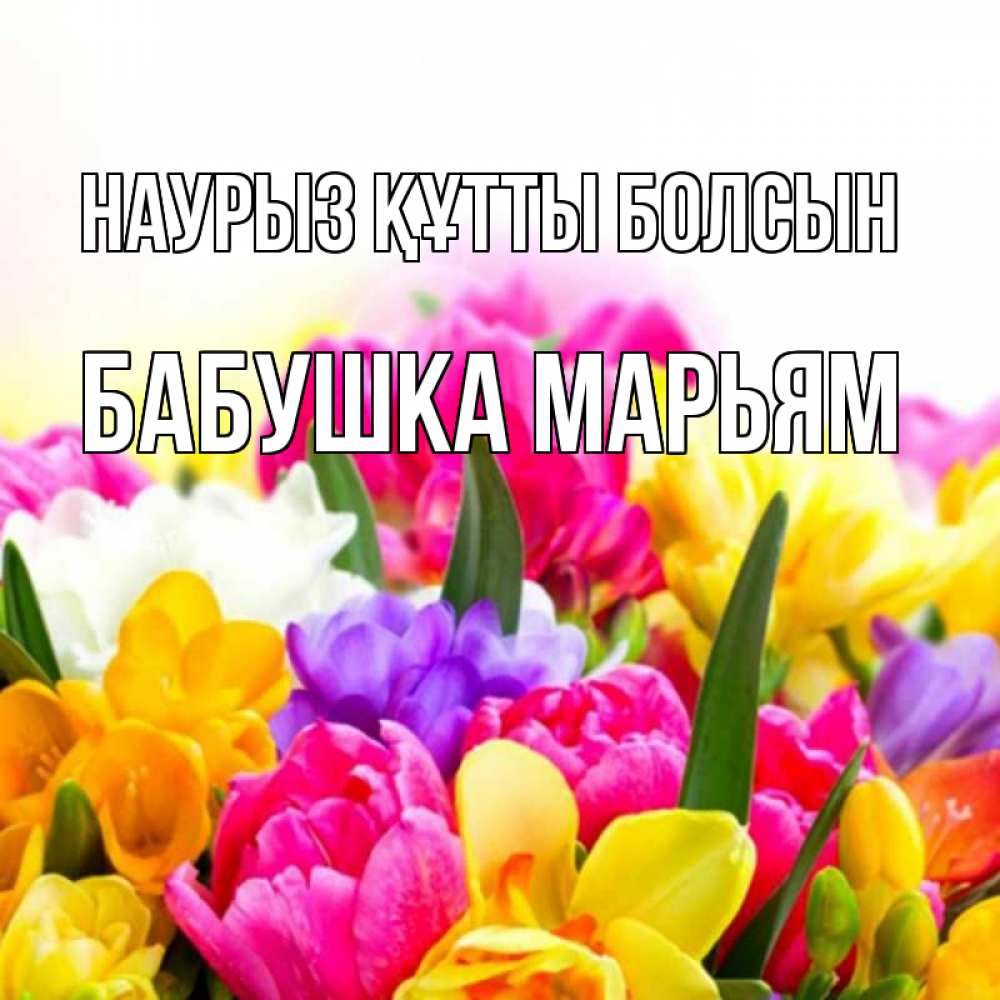 Открытка на каждый день с именем, Бабушка-Марьям Наурыз құтты болсын тюльпаны Прикольная открытка с пожеланием онлайн скачать бесплатно 