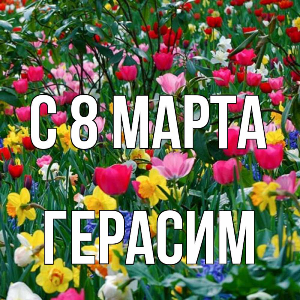 Открытка на каждый день с именем, Герасим С 8 МАРТА с международным женским днем поздравления для женщины Прикольная открытка с пожеланием онлайн скачать бесплатно 