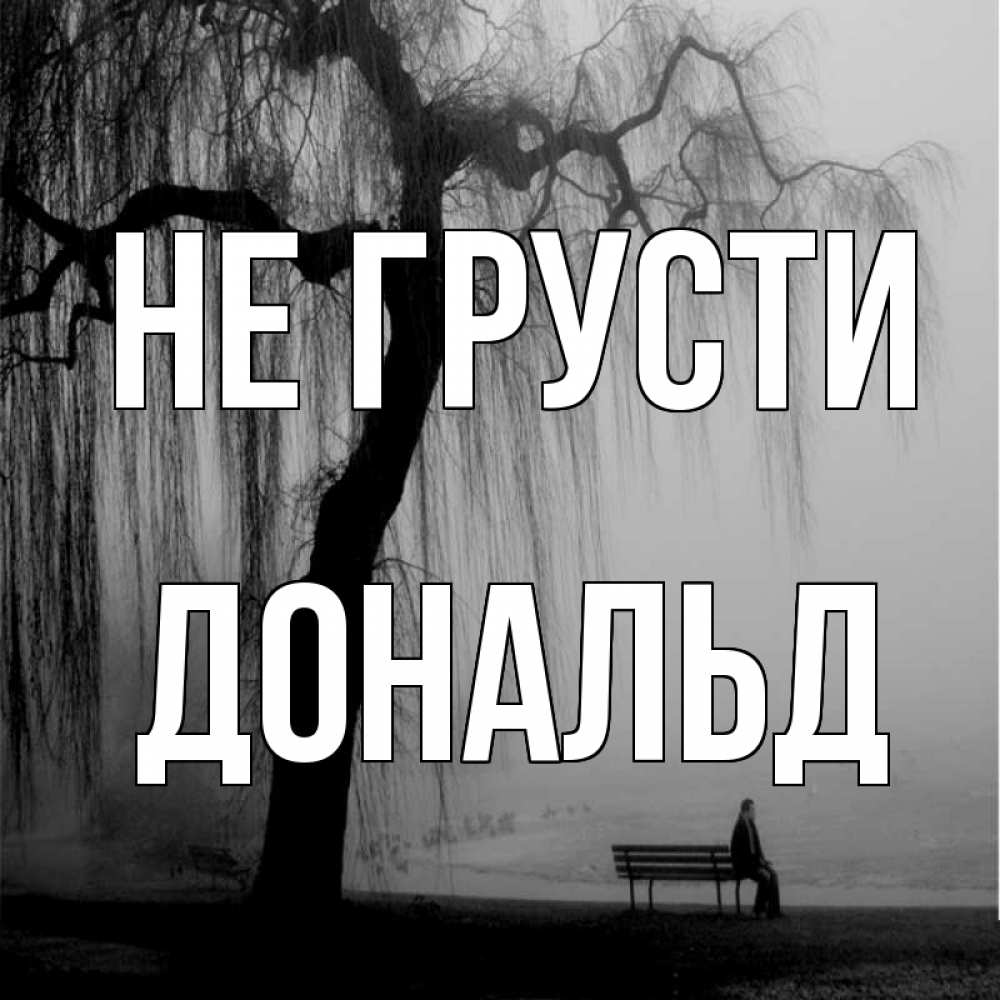 Открытка на каждый день с именем, Дональд Не грусти висящие ветки дерева и лавочка под деревом Прикольная открытка с пожеланием онлайн скачать бесплатно 
